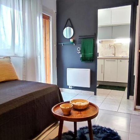 Michelet Studio Climatise Avec Balcon Et Parking Ferme Montpellier Exteriör bild
